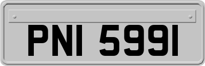 PNI5991