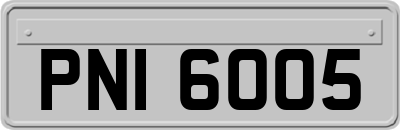 PNI6005