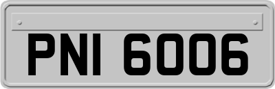 PNI6006