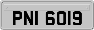 PNI6019