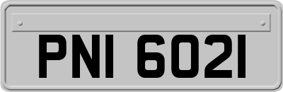 PNI6021