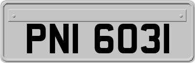 PNI6031