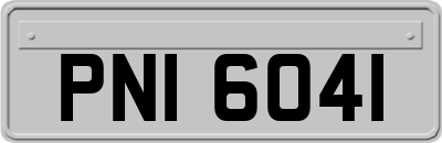 PNI6041