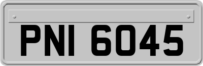PNI6045