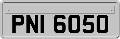 PNI6050
