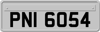 PNI6054