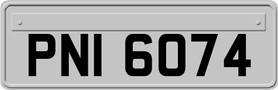 PNI6074
