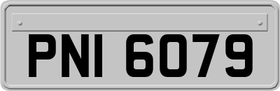 PNI6079
