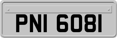 PNI6081