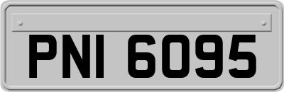 PNI6095