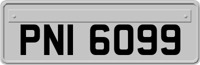 PNI6099