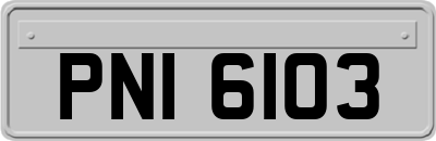 PNI6103