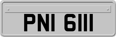 PNI6111