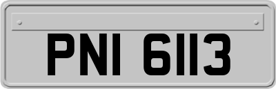 PNI6113