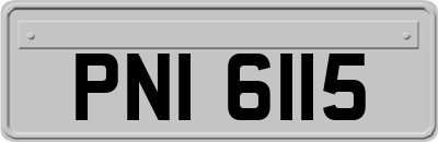 PNI6115