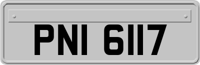 PNI6117
