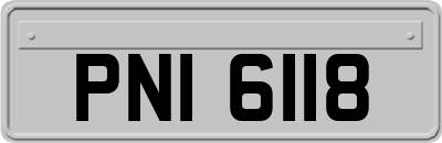 PNI6118