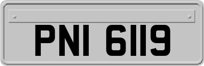 PNI6119