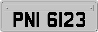 PNI6123