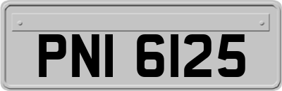 PNI6125