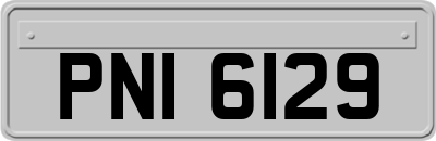 PNI6129