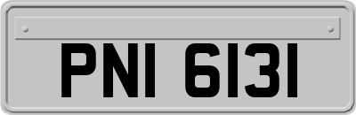 PNI6131