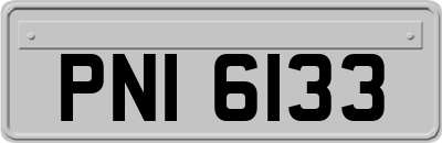 PNI6133