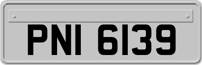 PNI6139
