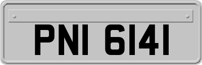 PNI6141