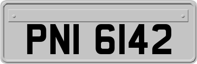 PNI6142