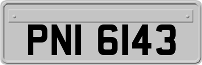 PNI6143