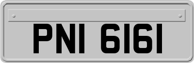 PNI6161