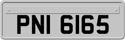 PNI6165