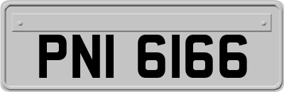 PNI6166