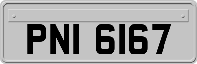 PNI6167