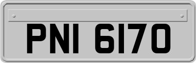 PNI6170