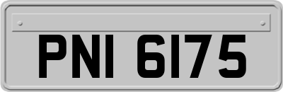 PNI6175
