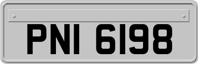 PNI6198