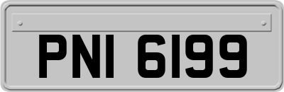 PNI6199