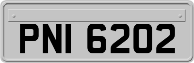 PNI6202