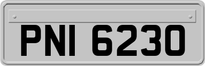 PNI6230