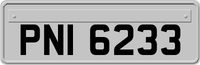 PNI6233