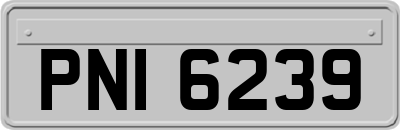 PNI6239