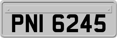 PNI6245