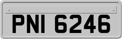 PNI6246