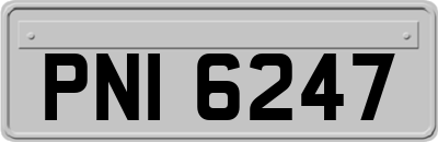 PNI6247