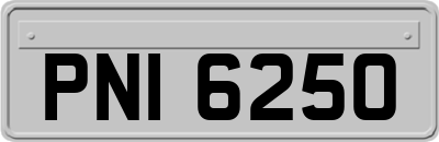 PNI6250