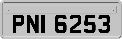 PNI6253