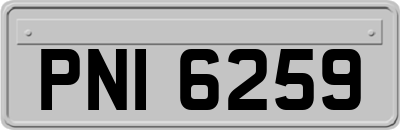 PNI6259