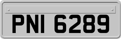 PNI6289